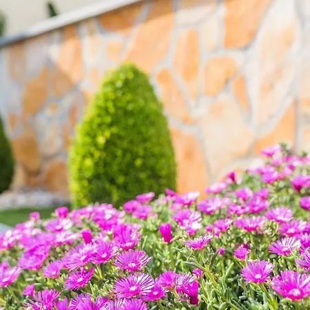 Carpe Diem * 茨里克韦尼察