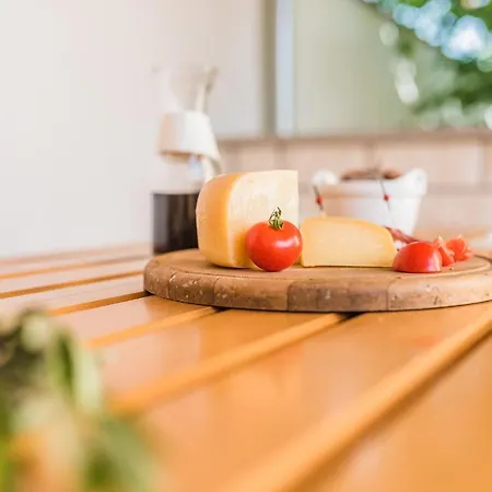 公寓 Carpe Diem 茨里克韦尼察